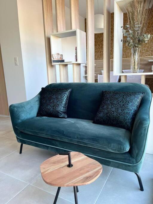 Appartement Centre De Roanne 38M2 外观 照片